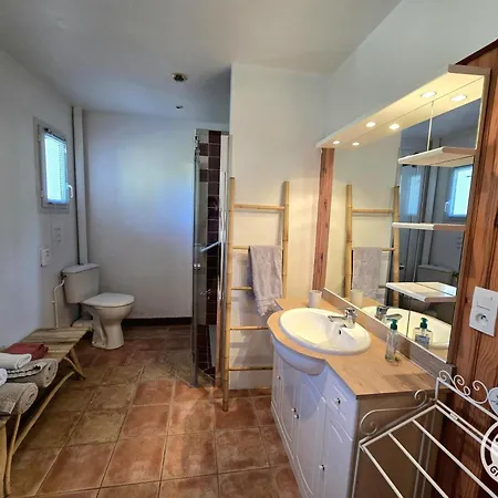 Vakantiehuis Charmante Avec Terrasse Privative A - Fr-1-616-503