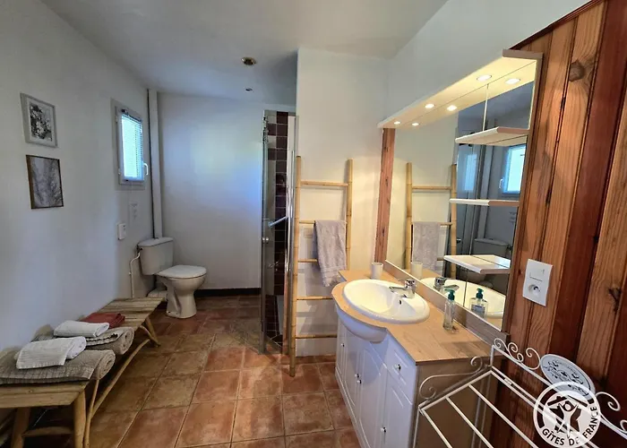 Vakantiehuis Charmante Avec Terrasse Privative A - Fr-1-616-503