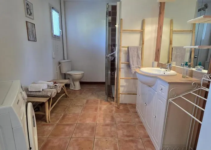 Vakantiehuis Charmante Avec Terrasse Privative A - Fr-1-616-503